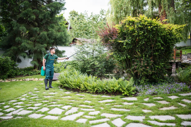 Best Wasp Removal Services  in Auburn, ME
