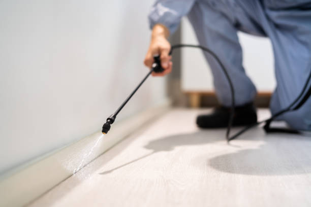 Pest Control for Restaurants in Auburn, ME