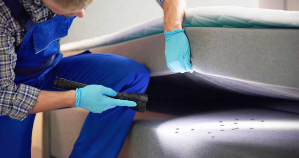 Best Pest Inspection Near Me  in Auburn, ME