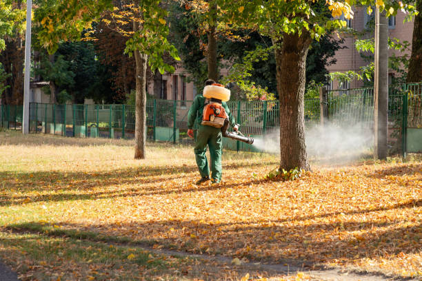 Flea Control Services in Auburn, ME